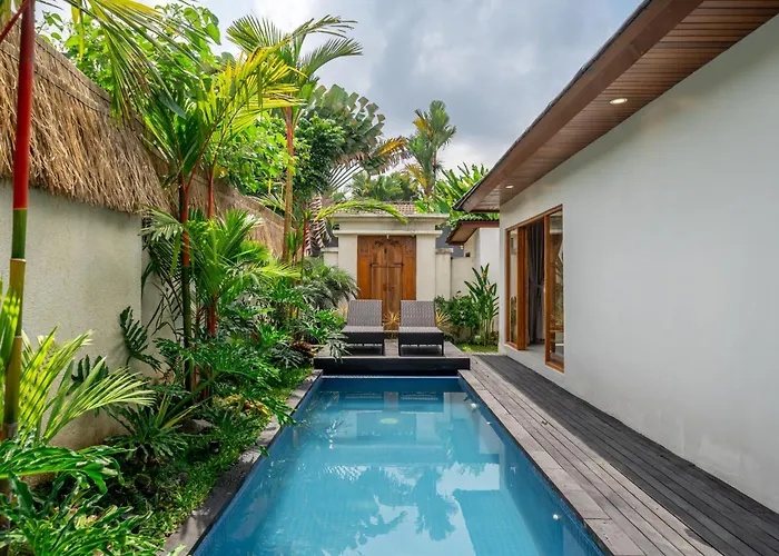 The Endorphins Villa